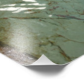 Photo de la nature de dalles rocheuses couvertes d (Coin)