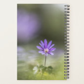 Photo de la nature de la fleur (Dos)