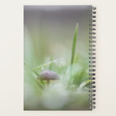 Photo de la nature des champignons (Dos)