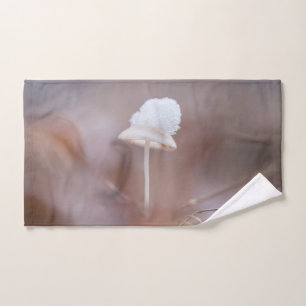 Photo de la nature des champignons