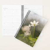 Photo de la nature des fleurs (Devant avec enveloppe)