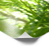 Photo de la nature du papillon bleu Morpho (Coin)