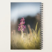 Photo de la nature sauvage de l'orchidée (Dos)
