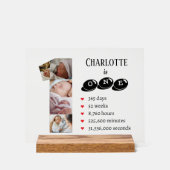 Photo de la première année du bébé Collage Numéro  (Recto)