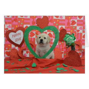 Photo de la semaine 6 de tornade