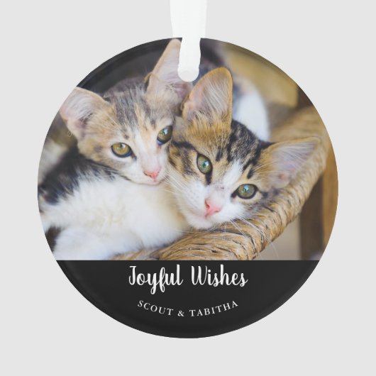 Photo de l'animal (dos)