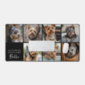 Photo de l'animal de compagnie avec écriture Cuten (Clavier et souris)