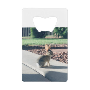 photo de lapin de Pâques printemps