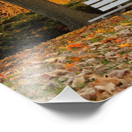 Photo de l'arbre à érable jaune Imprimer (Coin)