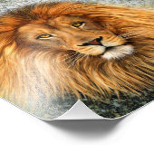 Photo de lion Peinture image (Coin)