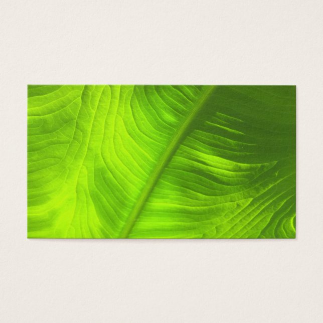 Photo de l'oreille d'éléphant Abstrait avec retour (Devant)