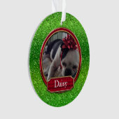 Photo de l'organisme acrylique FAUX Vert rouge éti (devant)