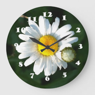 Photo de marguerite blanche Horloge murale