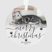Photo de Noël de chat vilain défini par l'animal d (dos)