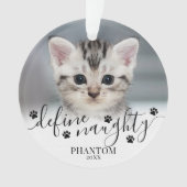 Photo de Noël de chat vilain défini par l'animal d (devant)