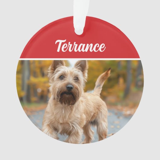 Photo de Noël de l'australien Terrier Dog (devant)