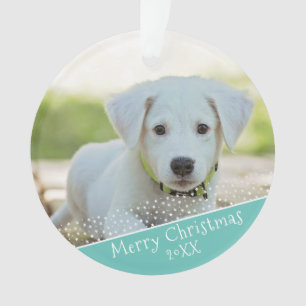 Photo de Noël de Noël de chien de chien personnali