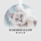 Photo de Noël de petit chat (devant)