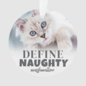 Photo de Noël drôle d'animal de compagnie 2 (devant)