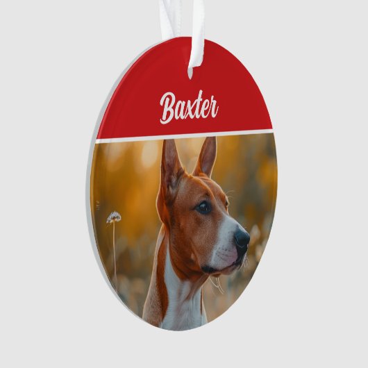 Photo de Noël du chien Basenji (devant)