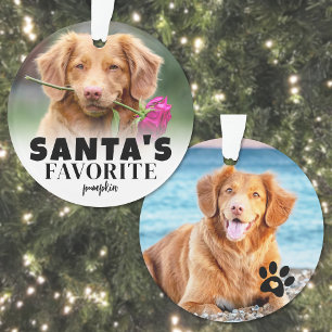 Photo de Noël du chien préféré du Père Noël