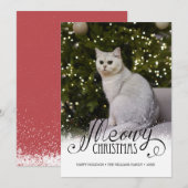 Photo de Noël moderne Meowy Chat Pet Carte de vaca (Devant / Derrière)