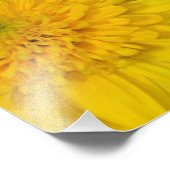 Photo de papillon (Coin)