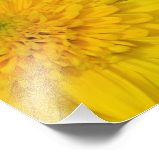 Photo de papillon (Coin)