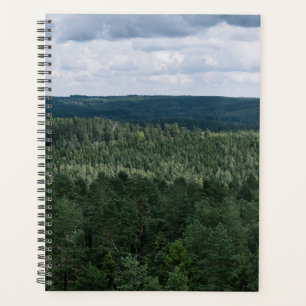 Photo de paysage nordique forestier aérien