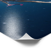 Photo de plongée sous-marine (Coin)