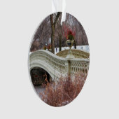 Photo de pont de l'arc de Central Park (devant)