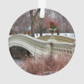 Photo de pont de l'arc de Central Park (dos)