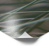 Photo de poussin de chouette flammé (Coin)