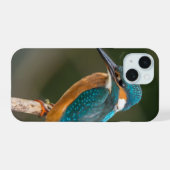 Photo de profil d'Alcédinidé (Verso Horizontal)