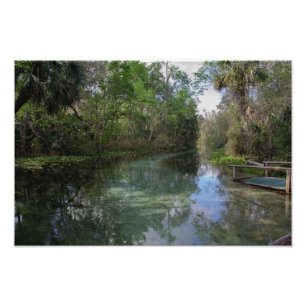 Photo de ressorts naturels