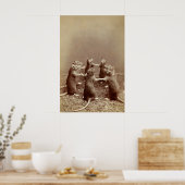Photo de rituel de rat, impression d'animal vintag (Cuisine)