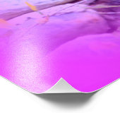 photo de sirène rêvée (Coin)