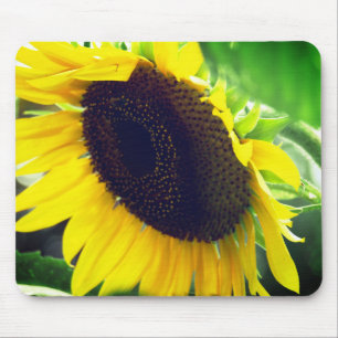 Photo de tournesol imprimée sur un tapis de souris