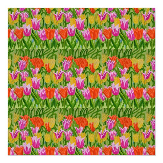 Photo de tulipes (Devant)