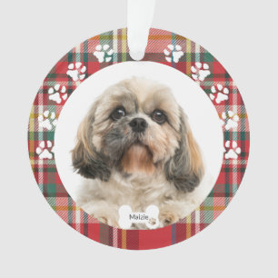 Photo de vacances de chien de Noël Shih Tzu