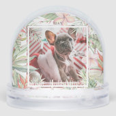 Photo de vacances de la flore tropicale Mele Kalik (Arrière)