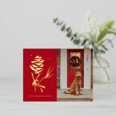 Photo de vacances Pinecone de neige (Debout devant)