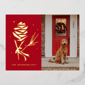 Photo de vacances Pinecone de neige (Recto)