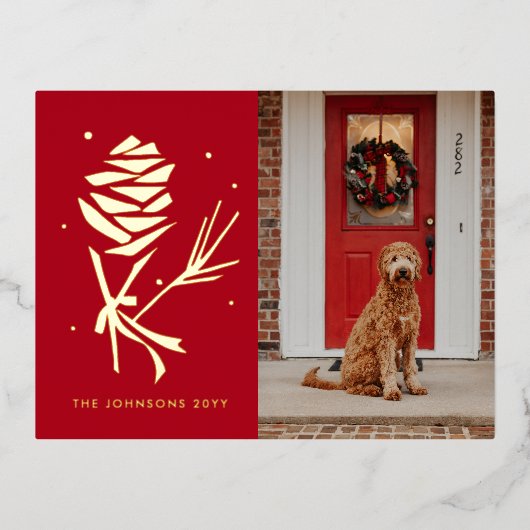 Photo de vacances Pinecone de neige (Recto)