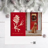 Photo de vacances Pinecone de neige