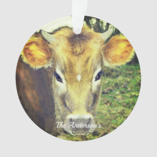 Photo de vache personnalisée sur mesure