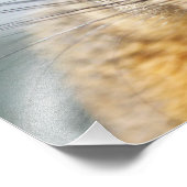 Photo d'écureuil de fermeture extrême (Coin)