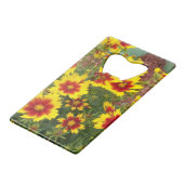 Photo des fleurs de Coréopsis rouge et jaune ensol (Devant Angle)