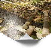 Photo Destiny Impression photographique 10x8 (Coin)