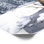 Photo d'impression de scène de neige d'élan (Coin)